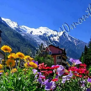  Appartement 4810 Mont-blanc